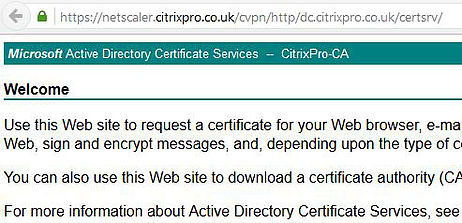 citrix receiver netscaler gateway keeps asking login